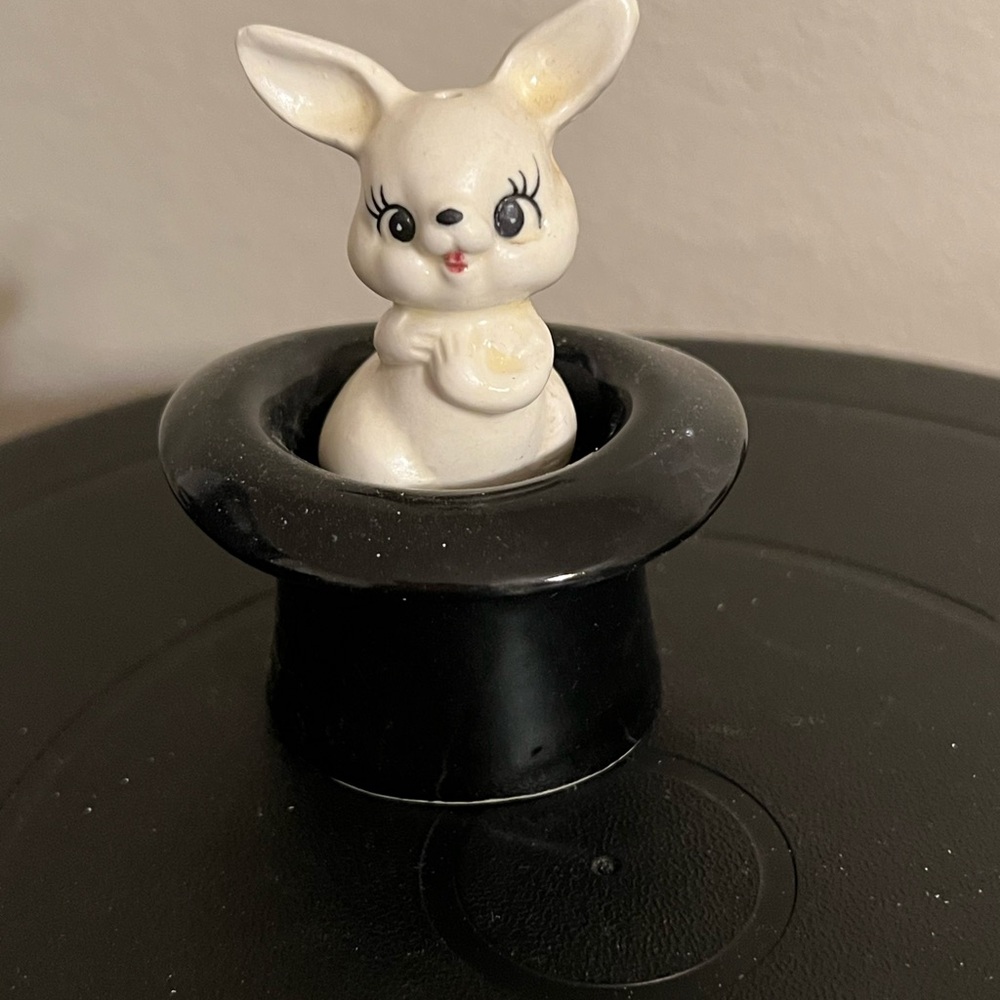 Rabbit in the Hat Salt & Pepper Shakers